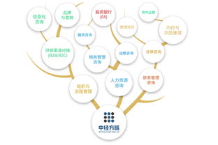 中經(jīng)方略以 1 1 2推拉式戰(zhàn)略模型 創(chuàng)新咨詢服務(wù)